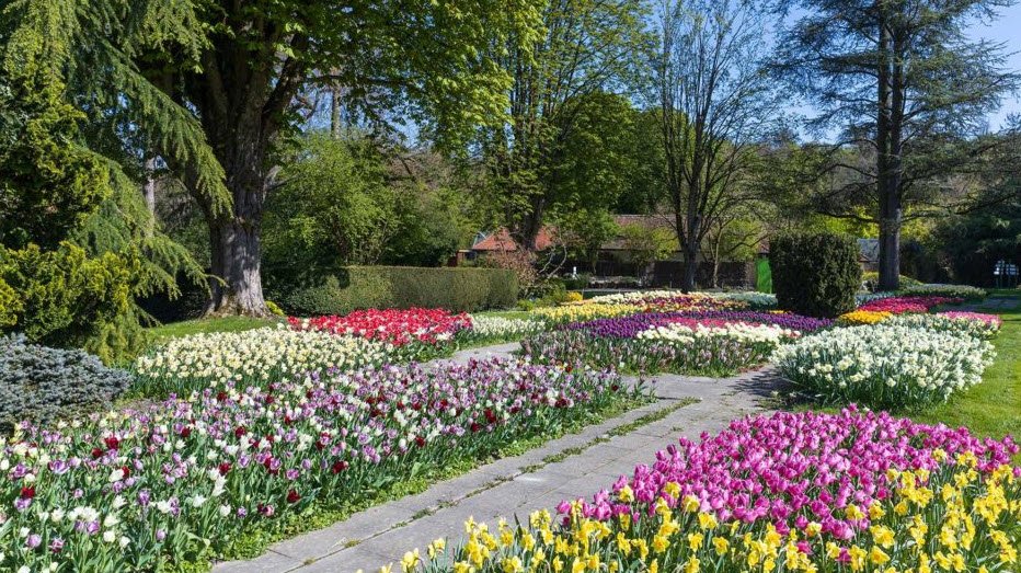 Parc Zoologique et Botanique de Mulhouse, Mulhouse, France, France